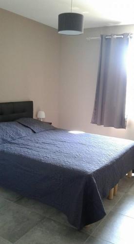 a bedroom with a blue bed and a window at GITE LA JOLIETTE ET LE CHESNAIE in Grillon
