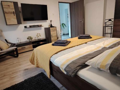 ein Schlafzimmer mit einem großen Bett und einem Flachbildfernseher in der Unterkunft Furmint Home in Szegi