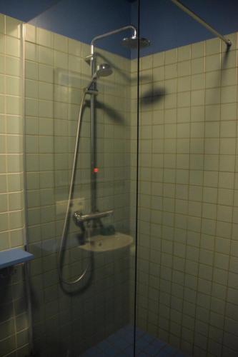una doccia in un bagno con una porta in vetro di The Holy Ram Farm-Hotel a Snæfellsbær