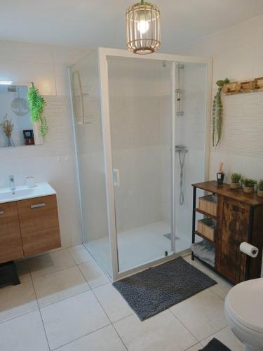 une salle de bain avec une douche avec des toilettes et un lavabo dans l'établissement Appartement aux portes de l'ocean et de la ria, à Plouharnel