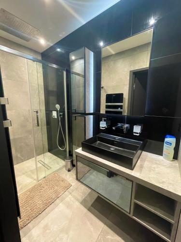 a bathroom with a shower and a sink and a mirror at Maison Jacuzzi in Thonon-les-Bains