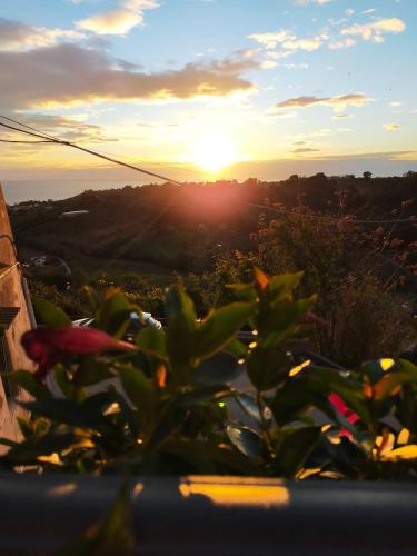 a sunset seen from a plant in the foreground at BnB La Casina dei Nonni in Campofilone