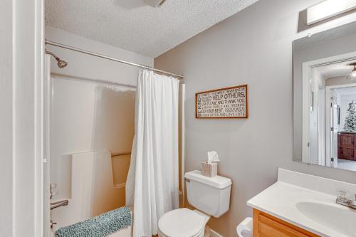 a bathroom with a toilet and a sink and a shower at Bartlett Condo 1 Mi to Attitash Mountain Resort! in Bartlett