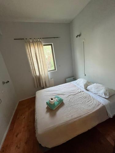 a bedroom with a bed with a roll of toilet paper on it at Hotel Nativo in Santiago