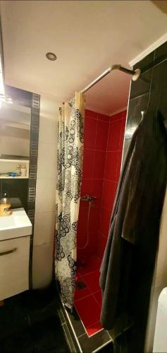 a bathroom with a shower with a red wall at διαμέρισμα Αλαμάνας 9 in Paphos