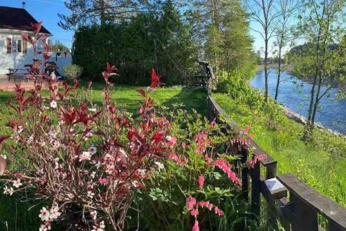 Naturlandskabet i nærheden af chaletet