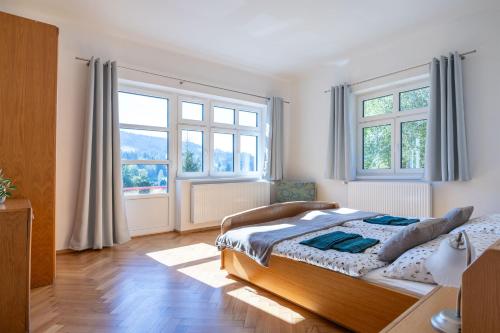 Un dormitorio con una cama y dos ventanas en Villa Weber Apartments, en Albrechtice v Jizerských horách