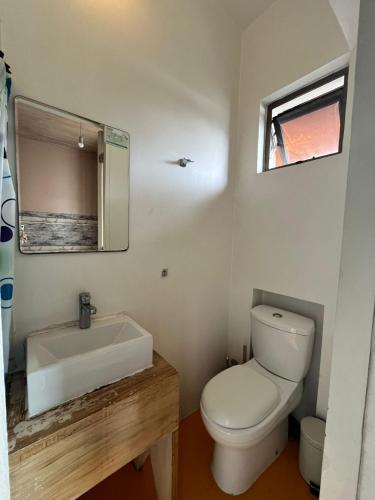 a bathroom with a toilet and a sink and a mirror at Hotel Nativo in Santiago