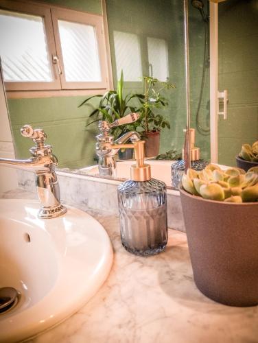 - un comptoir de salle de bains avec un lavabo et une corbeille de fruits dans l'établissement Grand appartement au calme, à Lérouville