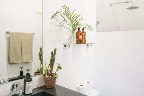 een badkamer met flessen op een plank boven een wastafel bij Casa Chayote Verde in Sayulita