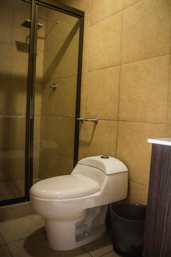 a white toilet in a bathroom with a shower at PH ocean view, Playa corona in La Chumicosa