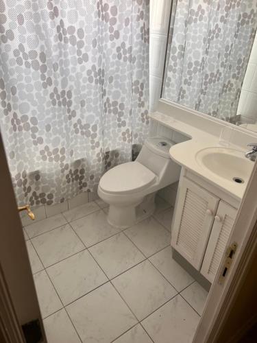 a bathroom with a toilet and a shower and a sink at Dept Hermosa Vista, Las Condes in Santiago