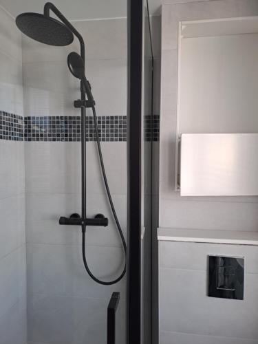une douche avec pommeau de douche dans une salle de bain dans l'établissement Appartement tout confort Lumineux, à Paris