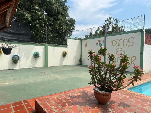 a tennis court with a potted plant in front of a tennis court at Casa finca Reina in Santander de Quilichao