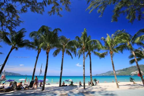 a group of palm trees on a beach at Global Hotel Beach View in Patong Beach