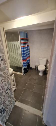 Maison vintage في Saint-Gondon: حمام مع مرحاض ودش