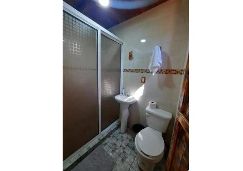 a bathroom with a toilet and a shower at Cabañas La Palma in Mineral de Angangueo