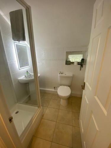a bathroom with a toilet and a sink at The Guesthouse Hideaway by Newfo.rest in Hordle
