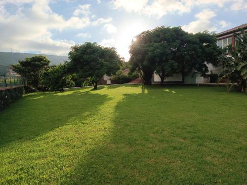 a large grassy yard with trees in the background at Moradia da Graça Guesthouse in Praia da Vitória