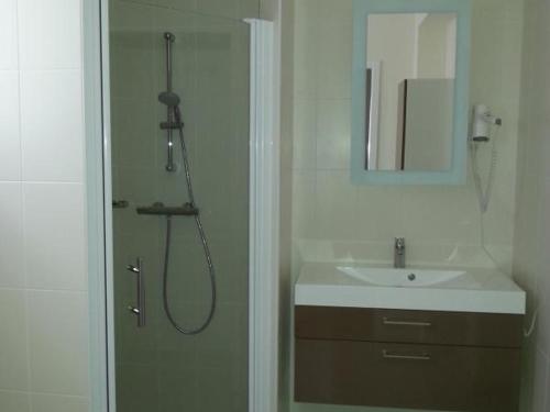 a bathroom with a shower and a sink at Gîte en Val de Loire: confort, jardin, parking et WiFi inclus - FR-1-491-452 in Thésée