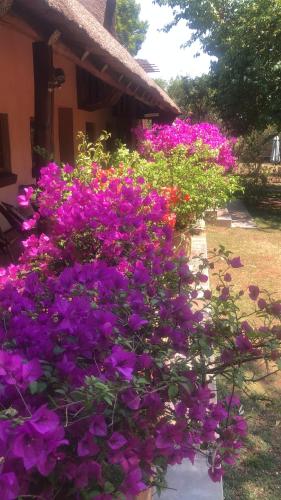 Φωτογραφία από το άλμπουμ του Midrand Wild Goose Guest House B&B σε Midrand