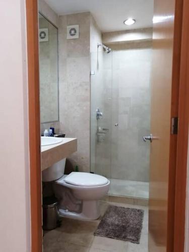 a bathroom with a toilet and a shower and a sink at Departamento a 2 min del museo Soumaya in Mexico City
