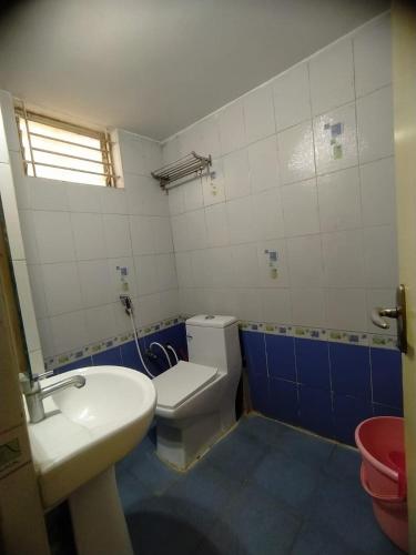a bathroom with a white toilet and a sink at Abids Inn Homestay in Bangalore