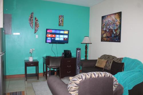 a living room with a couch and a flat screen tv at Cozy Deluxe 2BR Kensington New Kingston in Kingston