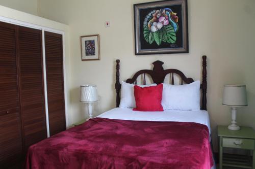 キングストンにあるCozy Deluxe 2BR Kensington New Kingstonのベッドルーム1室(大型ベッド1台、赤い枕付)