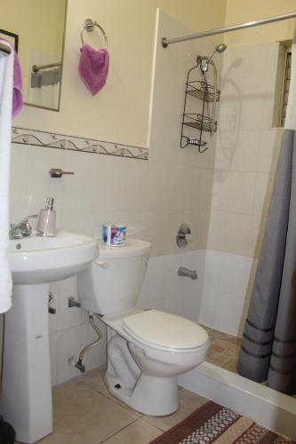 キングストンにあるCozy Deluxe 2BR Kensington New Kingstonのトイレ、洗面台、シャワー付きのバスルーム