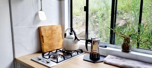 利斯戈Micro Mansion with big deck and views in Lovely Lithglow的带炉灶的厨房台和窗户
