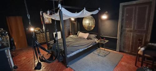 une chambre avec un lit à baldaquin dans une pièce dans l'établissement Love room Perpignan- nuit insolite en amoureux- 35mn de Perpignan, à Perpignan