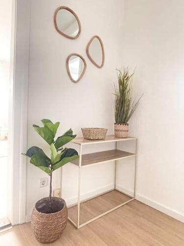 a white shelf with a plant and two mirrors at TONY - 2 Zimmer mit Küche - Zentral in Memmingen