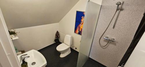 a small bathroom with a toilet and a sink at Olsson B&B in Randers
