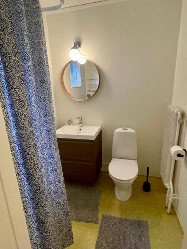 a bathroom with a toilet and a sink and a mirror at Fredriksberg Säfsen in Fredriksberg