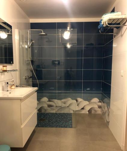 une salle de bain avec une douche en verre avec un lavabo dans l'établissement La Villa Victoria Auvergne, à Cournon-dʼAuvergne