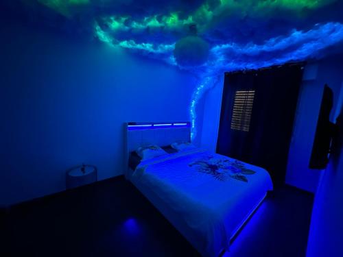 The Jungle SPA Strasbourg