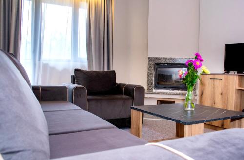 Μια τηλεόραση ή/και κέντρο ψυχαγωγίας στο Hotel Orphey