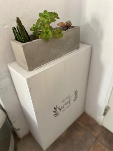 a plant sitting on top of a white cabinet at Mi casa, tu casa in Concepción del Uruguay