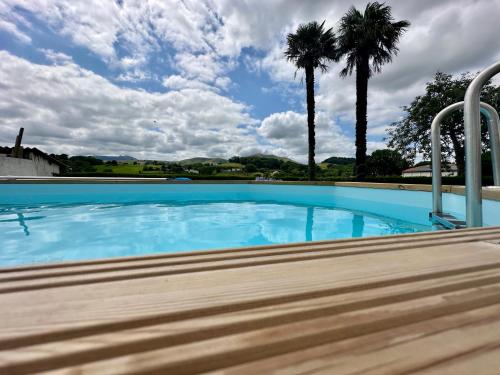 une piscine avec des palmiers en arrière-plan dans l'établissement Maison Pays Basque 12 pers piscine, à Saint-Esteben