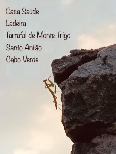 a picture of a rock with the names of continents at Casa Saúde in Seladinha