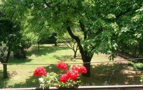 Haus in Budapest mit Garten 1141 Budapest, Tihamér utca 9 kép - 3