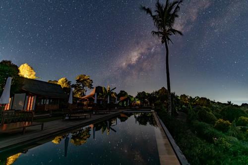 a starry night with a palm tree and a swimming pool at Umah Lusa in Munduk