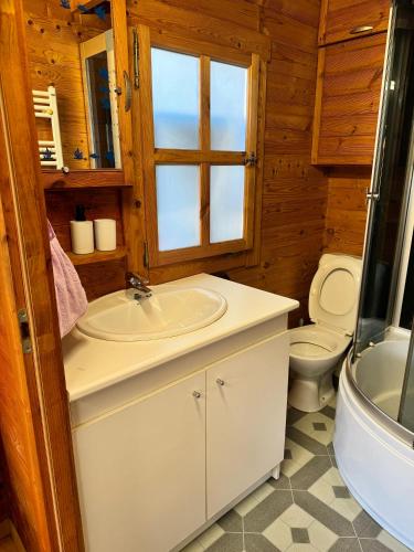 une salle de bain avec un lavabo et des toilettes dans l'établissement Cozy cottage Paris Suburb!, à Bobigny