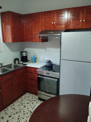 a kitchen with wooden cabinets and a white refrigerator at KP Apartments 2 in Mytilini