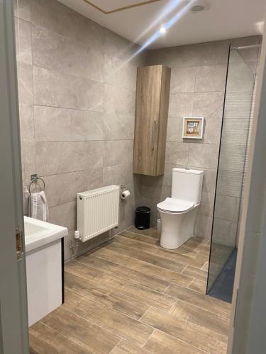 łazienka z toaletą, umywalką i prysznicem w obiekcie Grange Cottage w mieście Ballynoe