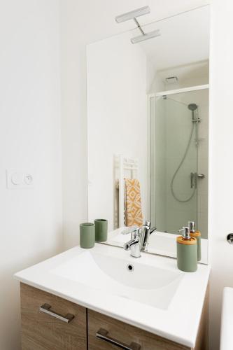 une salle de bain avec un lavabo et un miroir dans l'établissement Le Charmant Amboisien - Centre, à Amboise