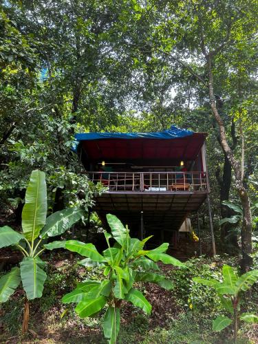 a tree house with a blue roof in the woods at Samyama Retreat in Cola