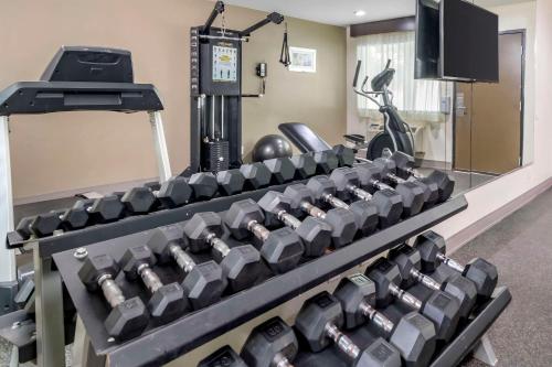 a gym with rows of dumbbells and a treadmill at Quality Inn & Suites Athens University Area in Athens