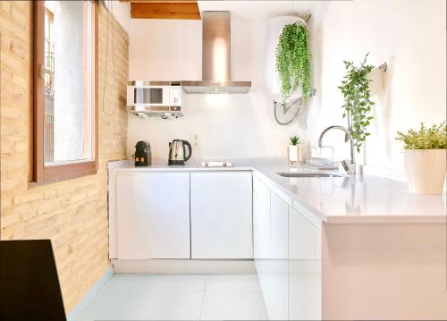 Apartamento de diseño en la Plaza del Carmen F1